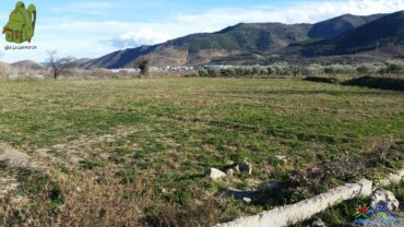 Senderismo de Fondón. Estuvimos dando un paseo por la ruta del Chisco.