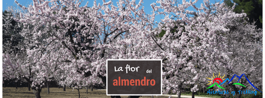 Sendero del Almendro en Flor de la Sierra de Gádor en Huécija