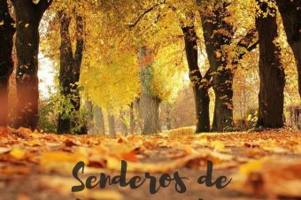 Senderos de hoja caída donde disfrutar del otoño en Almería y alrededores