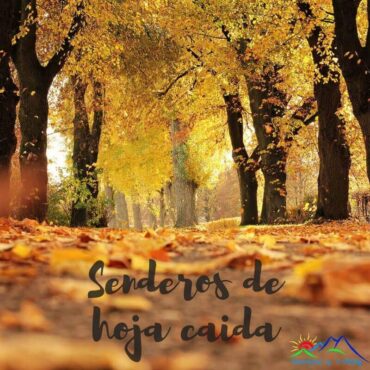 Senderos de hoja caída donde disfrutar del otoño en Almería y alrededores