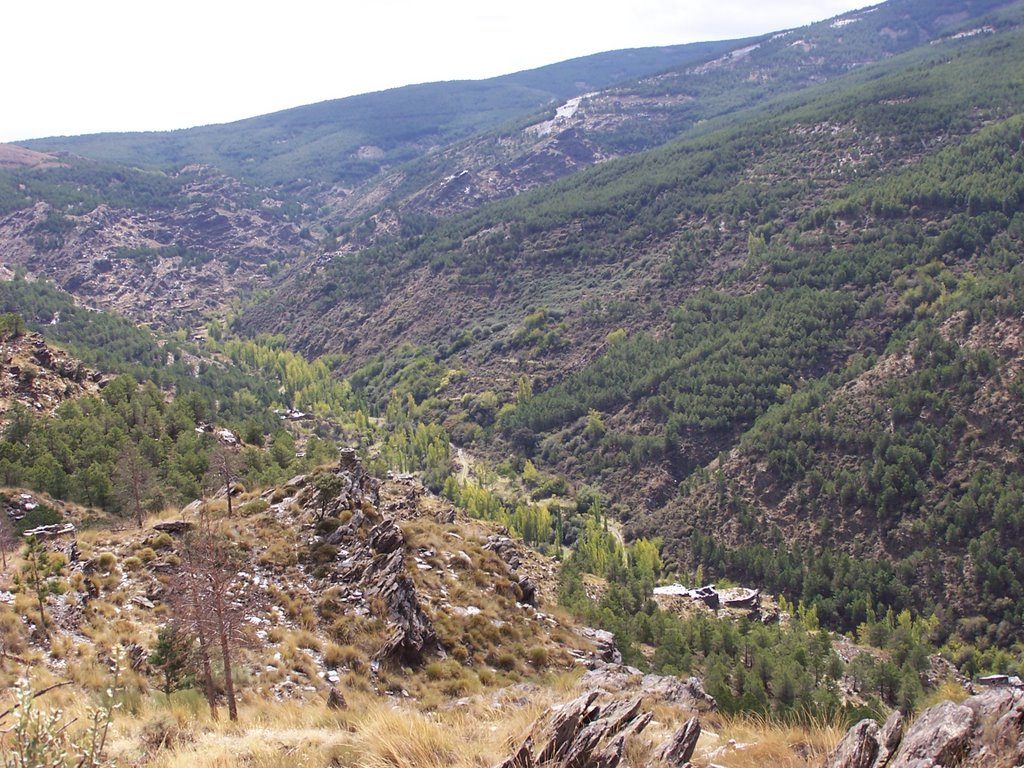 Barranco de Las Morcillas