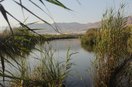 Reserva Natura Albufera de Adra