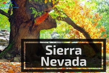 Senderos Sierra Nevada